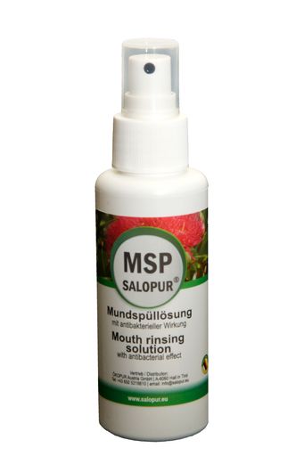 Vorschau Bild von Produktfoto: Mundspray SALOPUR MSP