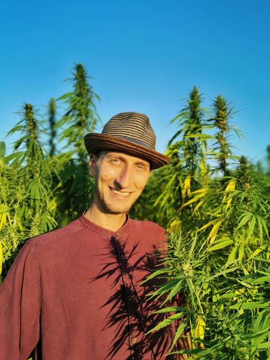  ÖHV begrüßt weitgehende Einigung auf Legalisierung
von Cannabis zu Genusszwecken in Deutschland