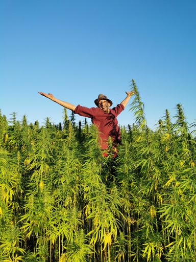 Vorschau Bild von ÖHV begrüßt weitgehende Einigung auf Legalisierung
von Cannabis zu Genusszwecken in Deutschland.