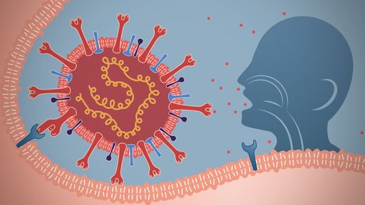 Vorschau Bild von dpa-infografik award 2021: Die Grafik "Wie das Corona-Virus den
Körper befällt" von Der Tagesspiegel gewinnt den 3. Platz in der
Kategorie "Nachrichtliche Medien". / Weiterer Text über ots und
www.presseportal.de/nr/8218 / Die Verwendung dieses Bildes ist für
redaktionelle Zwecke unter Beachtung ggf. genannter
Nutzungsbedingungen honorarfrei. Veröffentlichung bitte mit
Bildrechte-Hinweis.