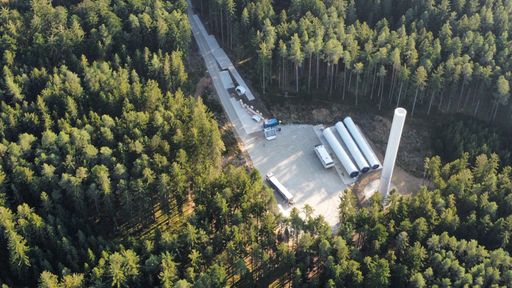 Vorschau Bild von Windkraftfirma ignoriert Vogelschutzgesetze