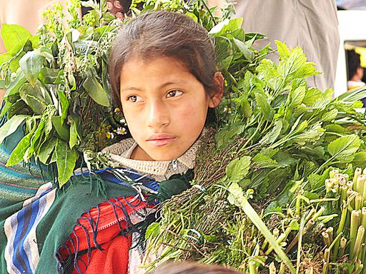 Ein Lieferkettengesetz ist ein effizientes Mittel
gegen Kinderarbeit.