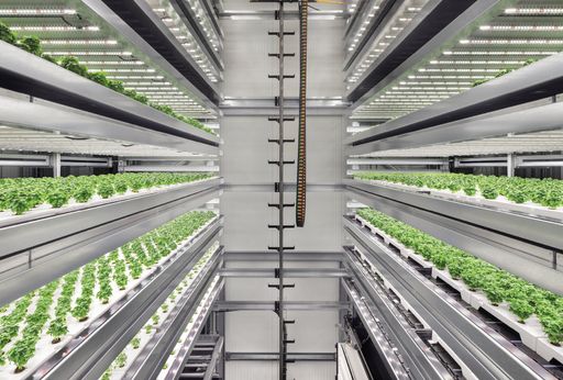 Mit der präsentierten Vertical Farming-Lösung lässt sich Ackerbau
gemessen an der bewirtschafteten Fläche bis zu 400-mal effizienter
betreiben als auf konventionelle Weise. / SSI Schäfer leistet
innovativen Beitrag zur nachhaltigen Versorgung der Stadt der
Zukunft / Weiterer Text über ots und www.presseportal.de/nr/160534 /
Die Verwendung dieses Bildes ist für redaktionelle Zwecke unter
Beachtung ggf. genannter Nutzungsbedingungen honorarfrei.
Veröffentlichung bitte mit Bildrechte-Hinweis.