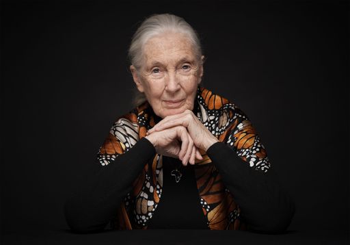  Jane Goodall ernannte Cesár Sampson zum
Ehrenbotschafter
