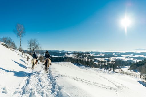 Vorschau Bild von Die Winterhügelwelt des Mühlviertels erleben und
entdecken