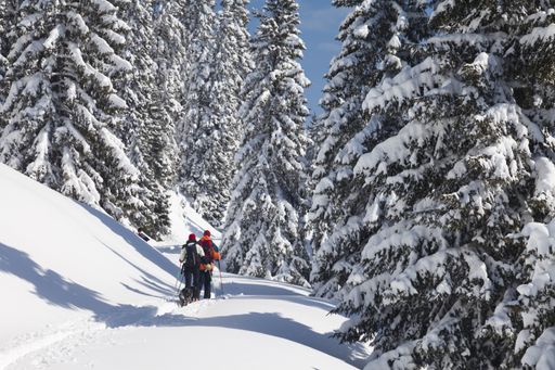 Skitourengehen in Österreich