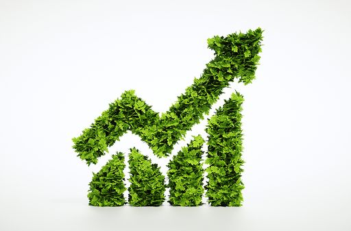 "PALLAS CAPITAL Fonds mit starker Performance im
Jahr 2021"
