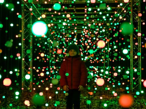 Vorschau Bild von Lichtinstallation, Illumina/Lichtergarten im Schlosspark
Laxenburg