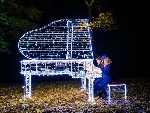 Vorschau Bild von Illumina, der magische Lichtergarten im Schlosspark Laxenburg