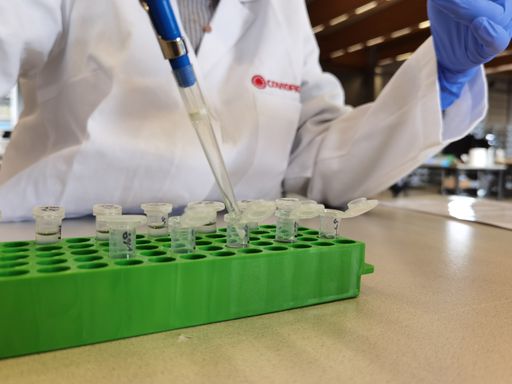 Hochleistungszentrum PCR Testauswertung in Sankt
Pölten (c) COVID Fighters