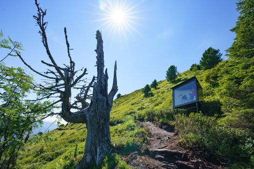 Vorschau Bild von Lawinen[GALERIE] 3 - Beginn unterer Bereich