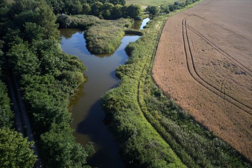 Vorschau Bild von Renaturierte Pulkau auf den Hardegg'schen Flächen