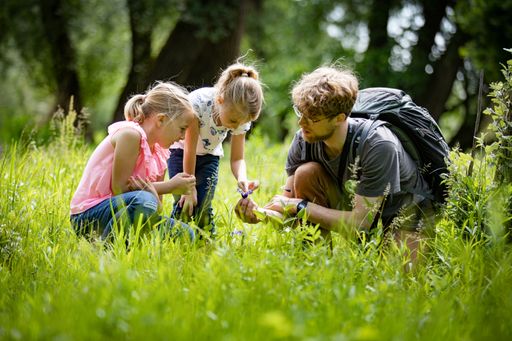 Vorschau Bild von Pressefoto Naturjuwel March-Thaya-Auen