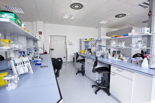 Vorschau Bild von Labor VelaLabs - Analysedienstleister für Biotech und Pharma -
1230 Wien