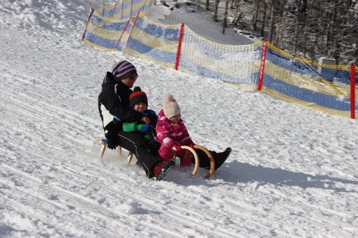 Vorschau Bild von Kinder beim Schlittenfahren im Almenland