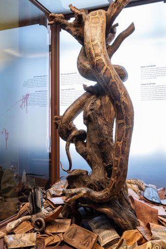  Showcase on the topic of "species protection" in
hall 27.