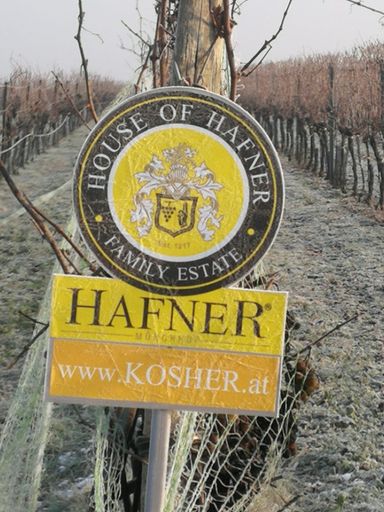  Logo Hafner im Weingarten bei Eisweinlese