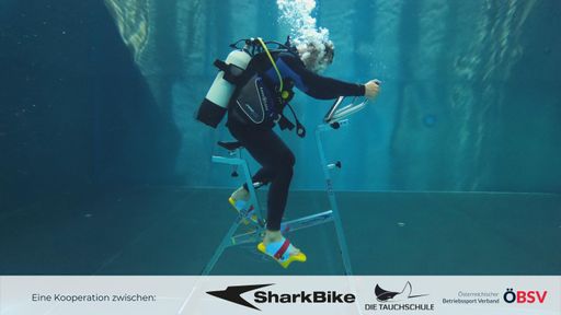Vorschau Bild von PartnerInnen des Weltrekordversuchs im
Unterwassercycling