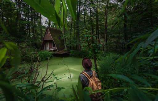 Vorschau Bild von Internationaler Pixum Fotowettbewerb Magic Moments:
Atemberaubende Gewinnerfotos begeistern Jury / Der Hauptgewinn von
Magic Moments 2021 geht an Rebekka Bohley mit ihrem Bild "Into the
Jungle". Das Motiv wurde in der Nähe von Saarwellingen inmitten des
Saarlandes aufgenommen. / Weiterer Text über ots und
www.presseportal.de/nr/24663 / Die Verwendung dieses Bildes ist für
redaktionelle Zwecke unter Beachtung ggf. genannter
Nutzungsbedingungen honorarfrei. Veröffentlichung bitte mit
Bildrechte-Hinweis.
