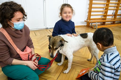  Die Kinder können mit den VIER PFOTEN
Therapiehunden wieder lachen.