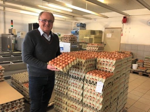 Geflügelwirtschaft warnt vor drohender Unterversorgung bei Eiern;
ZAG-Obmann Franz Karlhuber