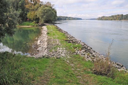 Noch ist das Nebenarmsystem Haslau-Regelsbrunn von
der Donau abgetrennt und verlandet, © viadonau