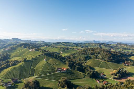 Die steirischen Winzer beweisen jedes Jahr beim
internationalen Weinwettbewerb Concours Mondial du Sauvignon aufs
Neue ihr Können. 72 Medaillen und zwei Trophäen gehen heuer in die
Steiermark. www.steiermark.wine/news