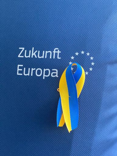 Vorschau Bild von Zukunft Europa