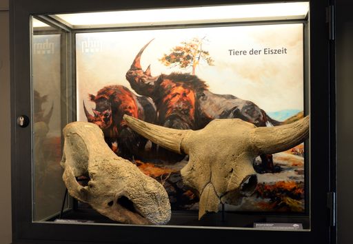  „Tiere der Eiszeit – Die Welt von Wollhaarnashorn
und Höhlenlöwe“