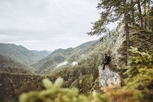  Wanderer am Luchstrail Verwendung ausschließlich
für Berichte im Zusammenhang mit dieser Presseinformation und unter
Anführung der Bildrechte. Jede weitere Nutzung des Bildmaterials
bedarf der Zustimmung der Nationalpark Gesäuse GmbH.