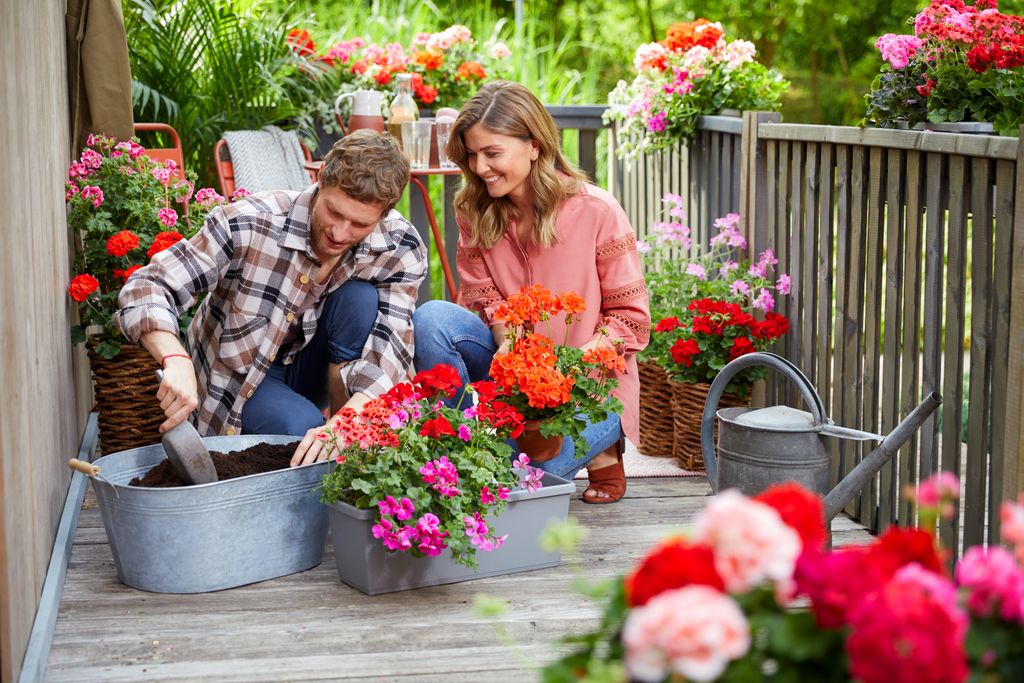 "Die Gärtner kommen zu den Wienern" Start der Wiener Blumenmärkte