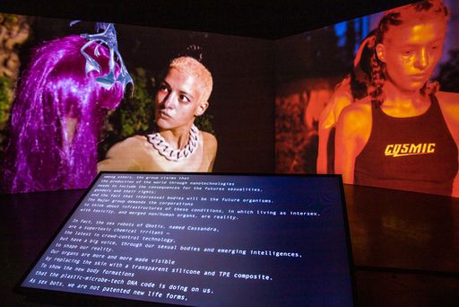 Vorschau Bild von Molecular Sex, HD/4K Video installation,
installation view, Digital Arts Festival Taipeh, 2020, (c) Johanna
Bruckner