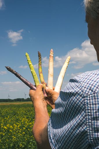 Vorschau Bild von Spargelbauer Werner Magoschitz mit verschiedenen
Spargelsorten am Acker.
