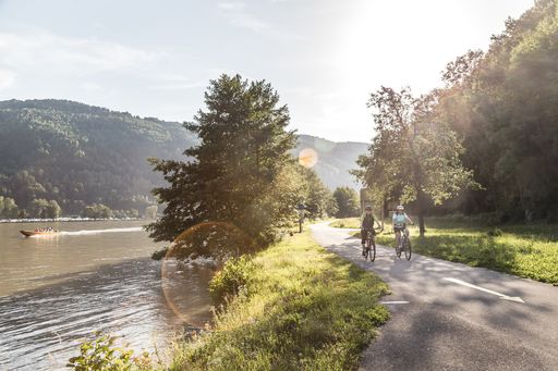 Foto Oberösterreich Tourismus GmbH/Moritz Ablinger:
Immer entlang der Donau auf dem Donauradweg in Oberösterreich bei
der Schlögener Schlinge.