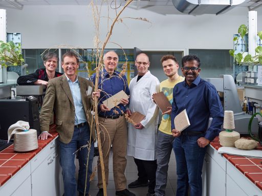 Vorschau Bild von Innovationspreis des Landes Kärnten,
Kompetenzzentrum Holz, W3C. Foto: KWF / Johannes Puch