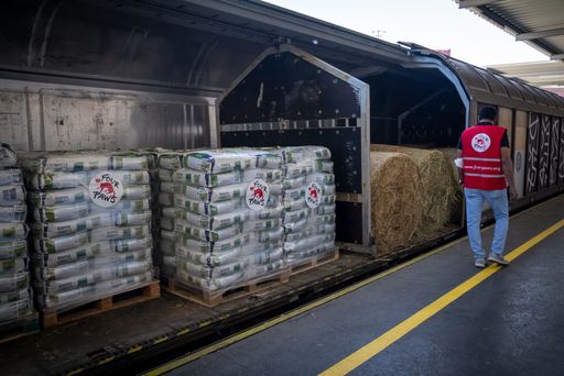  VIER PFOTEN liefert gemeinsam mit der ÖBB 20 Tonnen
Futter für Zootiere in der Ukraine