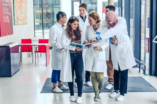Im renommierten CHE Hochschulranking schnitten die
Studienprogramme Biotechnologie und Chemie der IMC FH Krems
hervorragend ab.