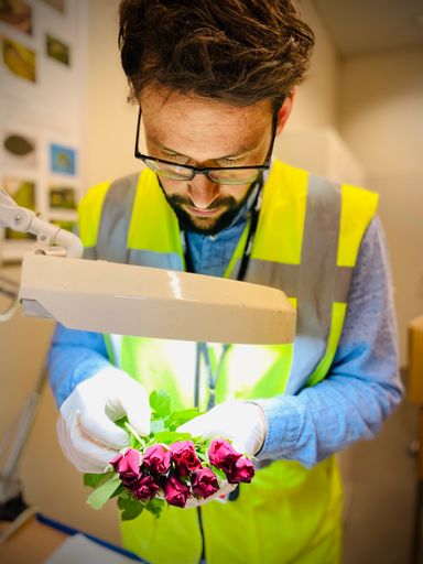  Pflanzengesundheits-Kontrolle von Blumen am
Flughafen Wien/Schwechat