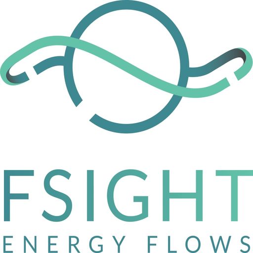  Logo Unternehmen Fsight