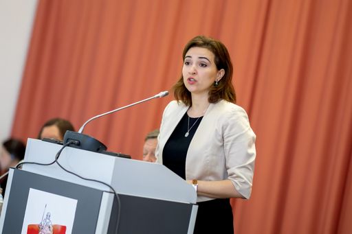 Vorschau Bild von Alma Zadić, Bundesministerin für Justiz