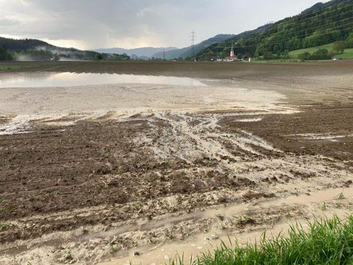 Vorschau Bild von Verschlämmter Mais