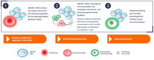 Innovative Stammzelltherapie von RHEACELL: ABCB5-positive
Stammzellen mit immunmodulatorischen Eigenschaften unterstützen den
Körper beim Selbstheilungsprozess bei chronisch-venösen Wunden. /
Mit Stammzellen gegen chronisch-venöse Wunden / RHEACELL erhält
Deutschen Wundpreis 2022 / Weiterer Text über ots und
www.presseportal.de/nr/163211 / Die Verwendung dieses Bildes ist für
redaktionelle Zwecke unter Beachtung ggf. genannter
Nutzungsbedingungen honorarfrei. Veröffentlichung bitte mit
Bildrechte-Hinweis.