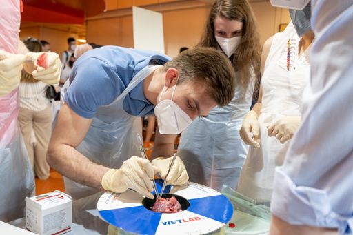 Teilnehmer beim Workshop "Implantation einer
Herzklappe" bei der Medizinischen Forschungsmeile der MedUni Wien.