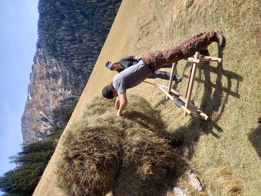  Im Tiroler Oberland wurde schon im April fleißig
mitgeholfen – duftendes Almheu vom Vorjahr wurde ins Tal gebracht.