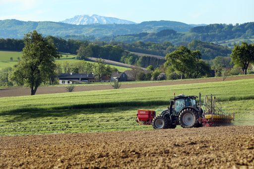 Vorschau Bild von Soja-Aussaat in Österreich