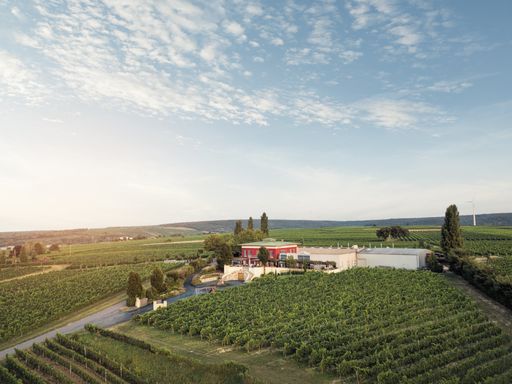 Vorschau Bild von Weingut K+K Kirnbauer im burgenländischen
Deutschkreutz