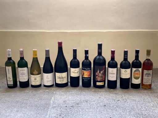 Flaschengalerie RWB Tasting VieVinum 2022
„Verborgene Schätze aus 25 Jahren Renommierte Weingüter Burgenland“
