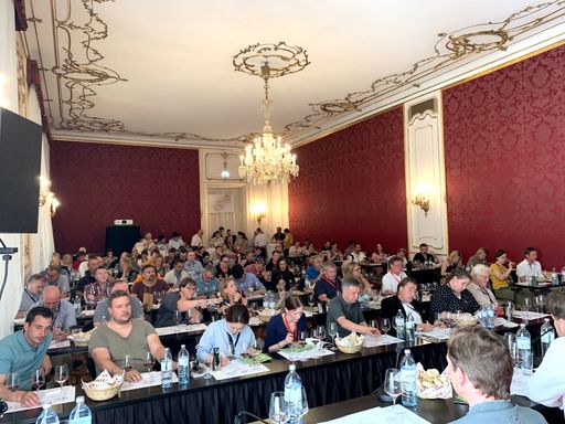 Vorschau Bild von Voller Saal bei dem RWB Tasting „Verborgene Schätze
aus 25 Jahren Renommierte Weingüter Burgenland“