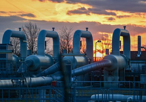 APA-Science beleuchtet im aktuellen
Themenschwerpunkt Österreichs Möglichkeiten für den Weg in eine
unabhängige, klimaneutrale Zukunft.