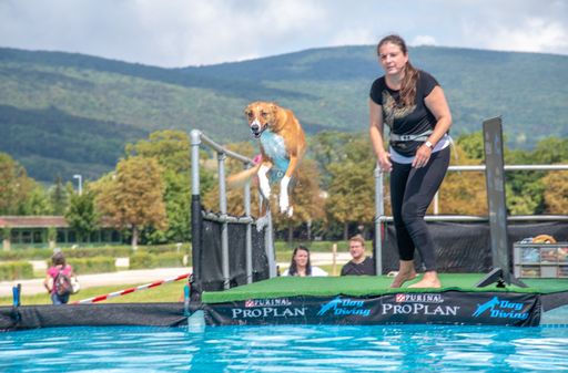  Viel Spaß beim Seresto (R) DogDiving